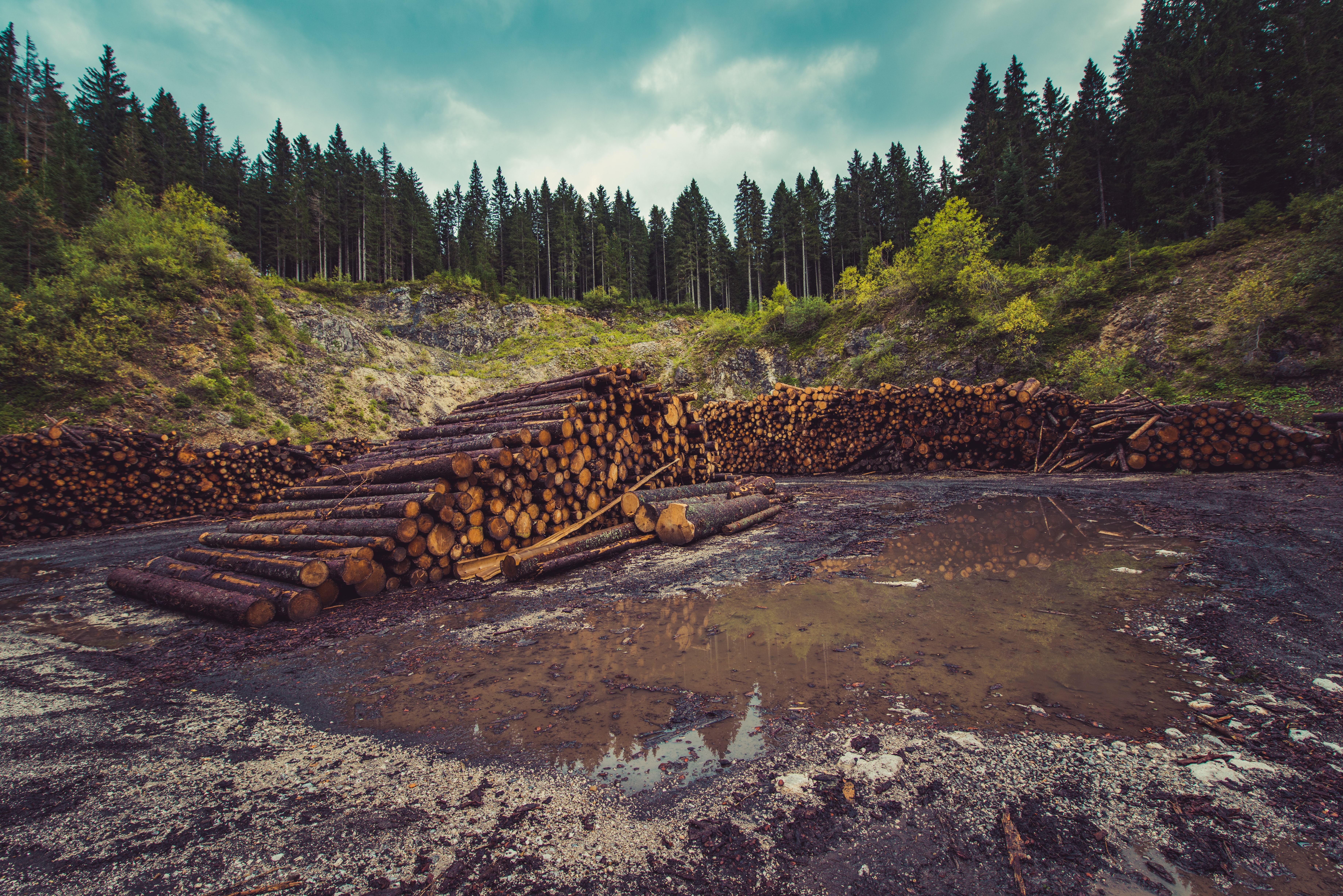 Photo by Ales Krivec on Unsplash