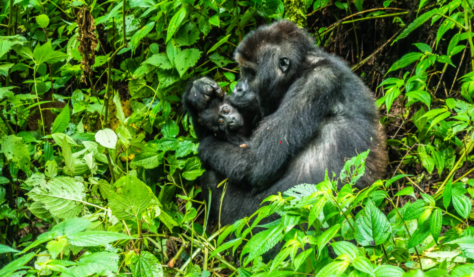 Johnny Chen / Unsplash