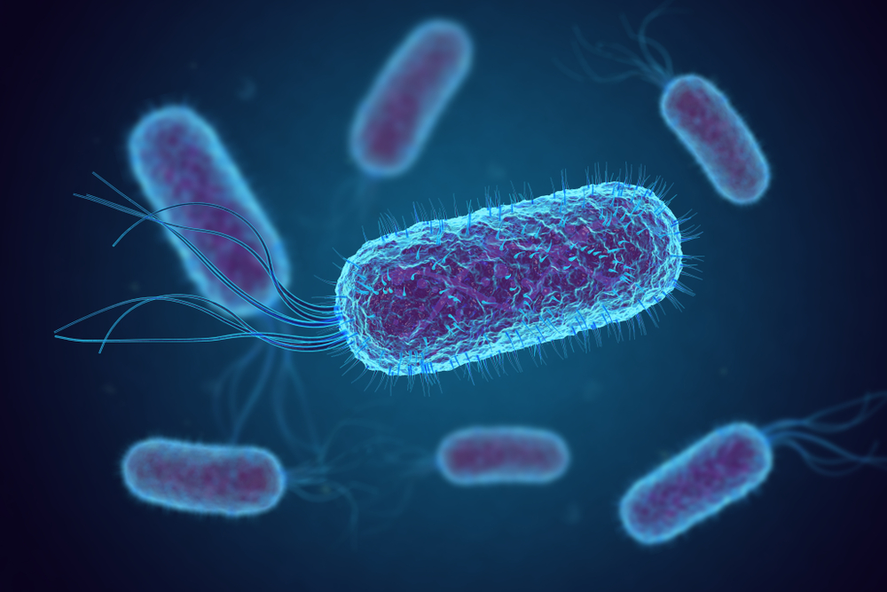 As part of their research, the scientists looked at the order of gene coding of two rotating nanomachines, including the bacterial flagellar motor: a rotating "tail" that many bacteria such as E Coli (pictured) use to swim. Photo: Shutterstock.