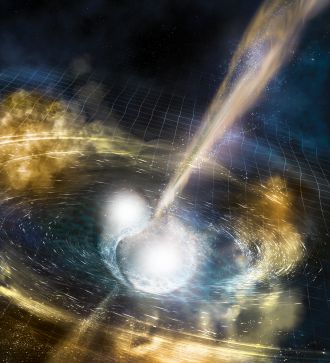 Artist's Impression