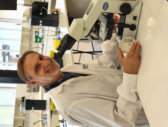 Professor Louw Hoffman 