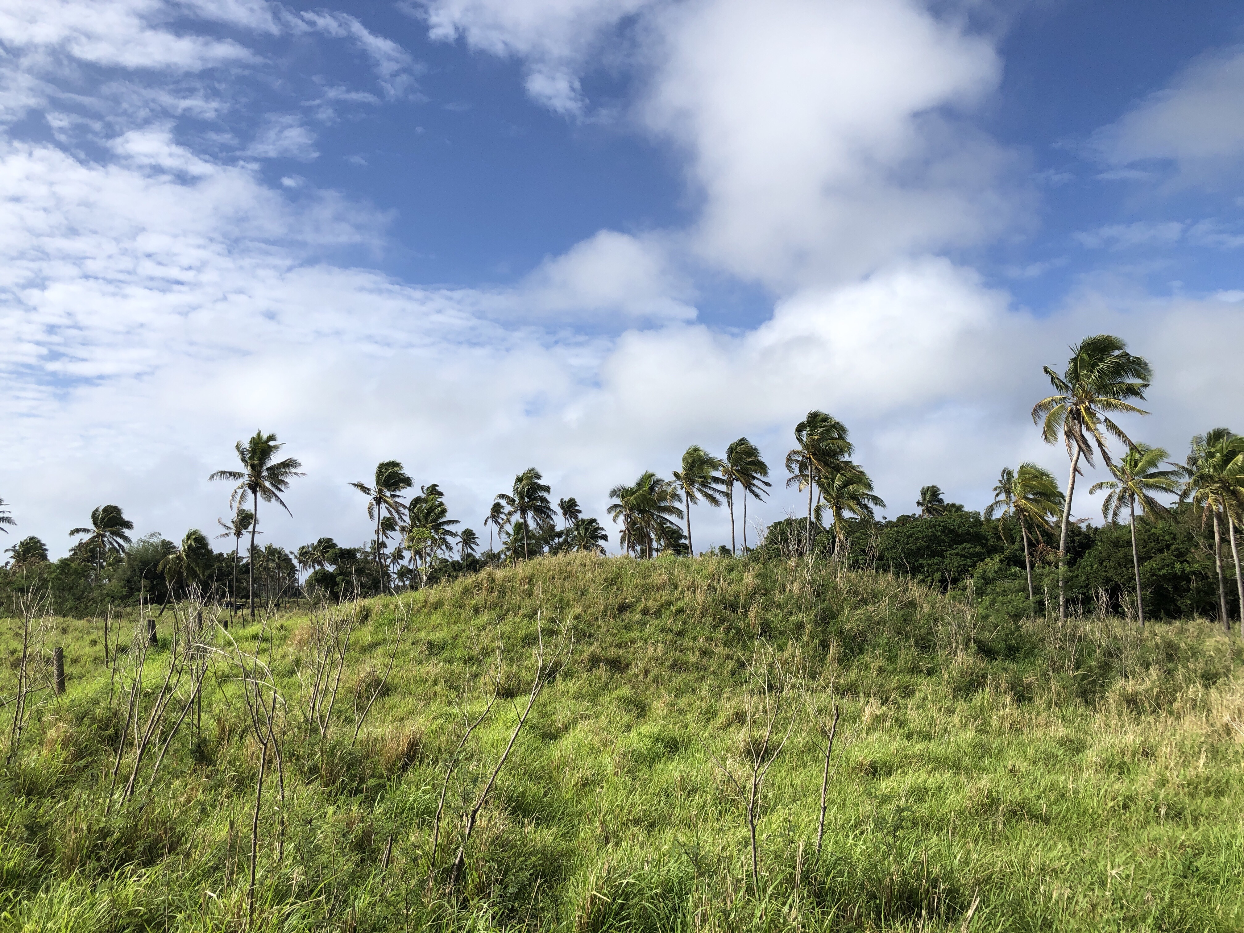Credit: Phillip Parton/ANU