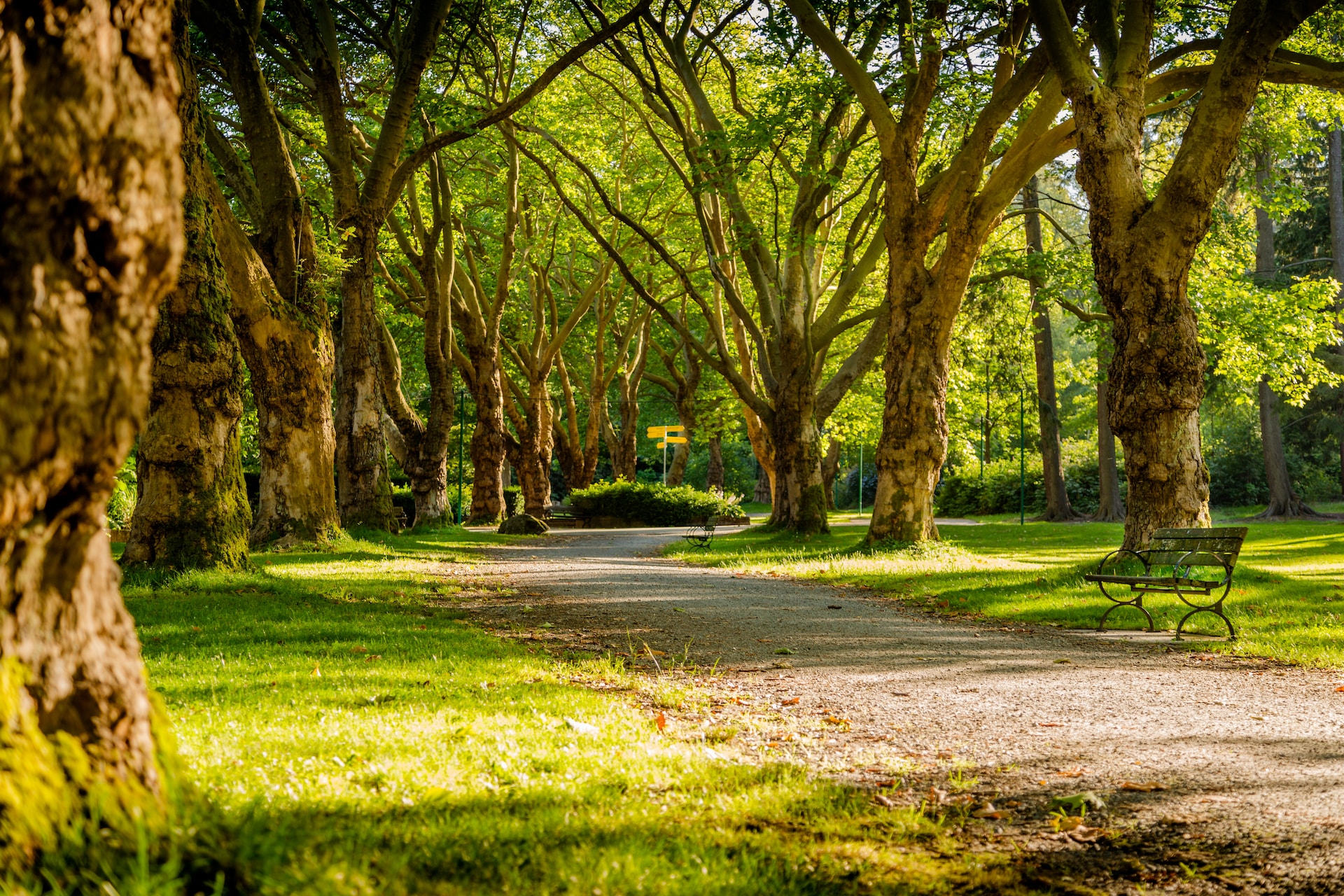 PHOTO: Mike Benna/Unsplash