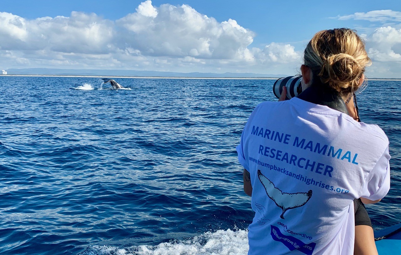 Credit: Olaf Meynecke