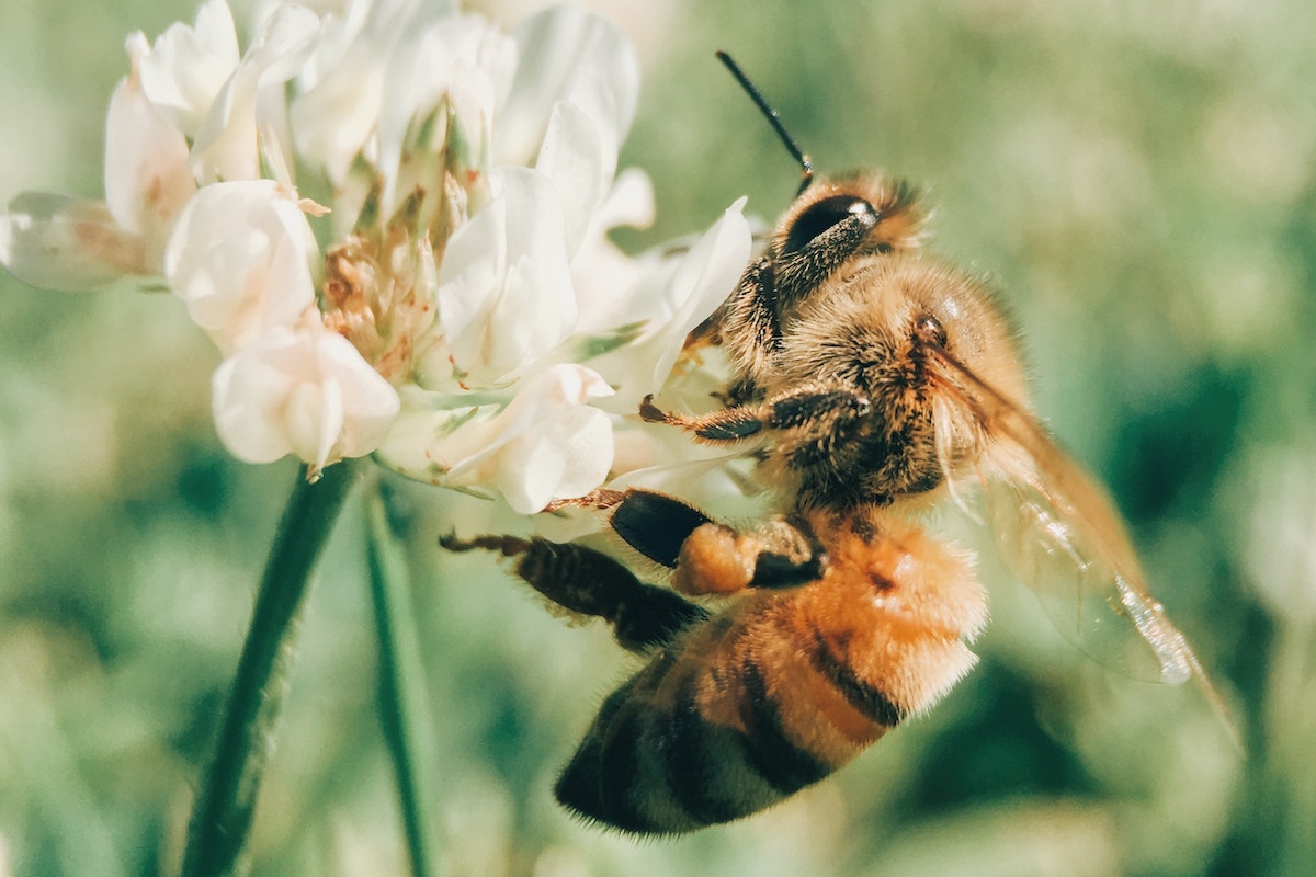 Photo by Aaron Burden on Unsplash https://unsplash.com/photos/2xhOYKK-jAM