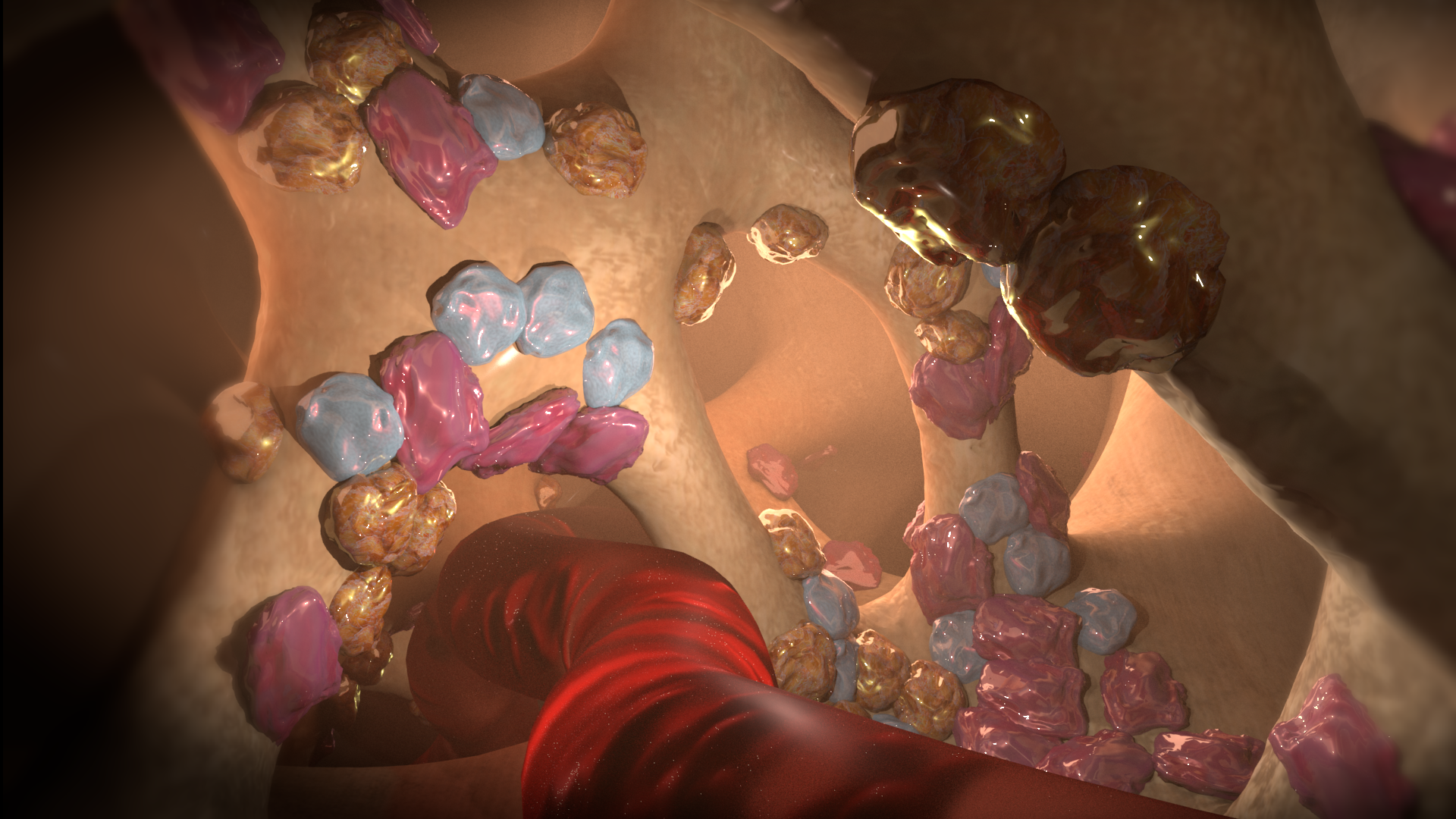 Healthy bone. A calcified matrix with osteoclasts (pink) osteoblasts (blue) and stem cells (gold) are part of the dynamic process of making bone.  Credit: Kate Patterson / Garvan