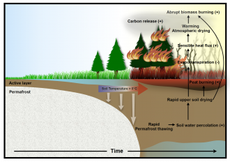 Schematic illustration