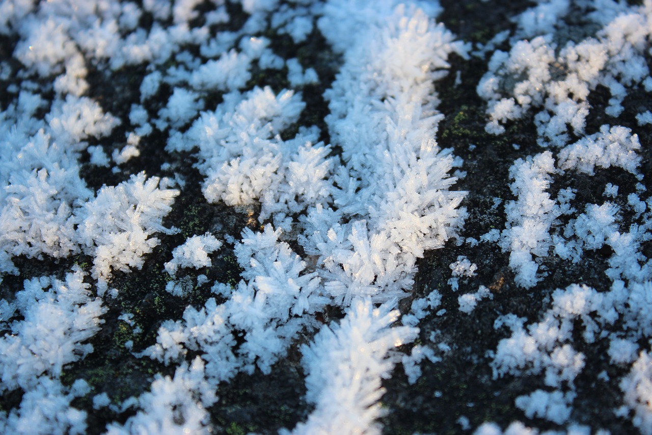 Image by Mattias Björkstedt from Pixabay