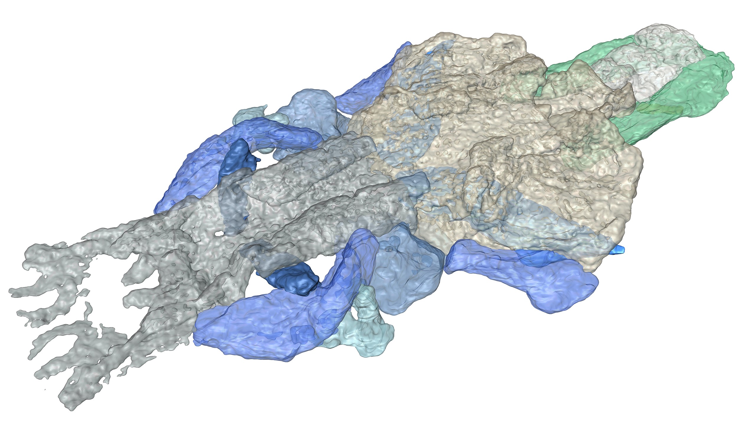 Tatsuya Hirasawa RIKEN