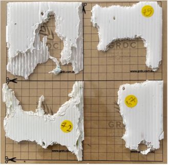Grid printed on OHP paper used to measure plastic residue.