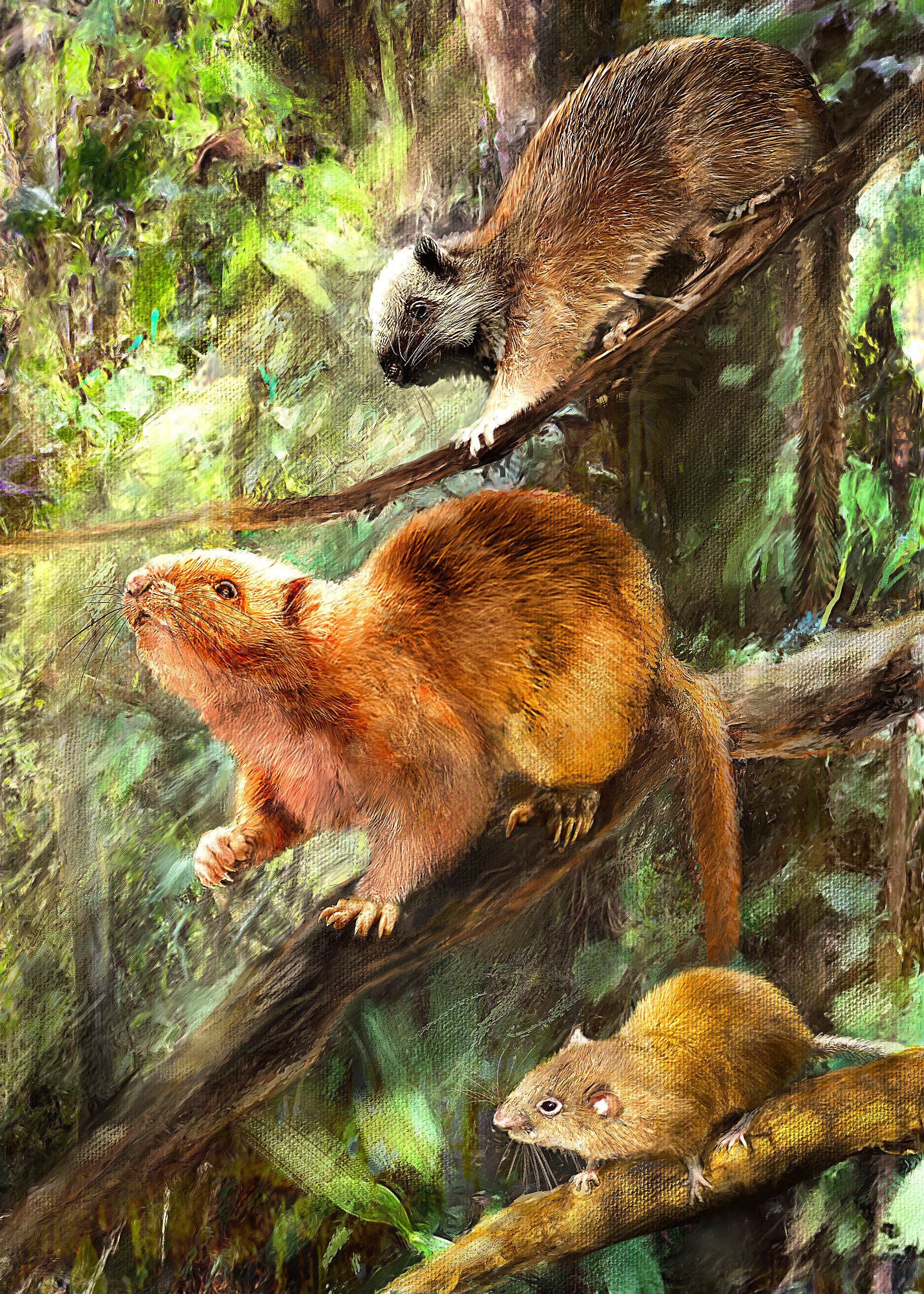 Artist's conception 