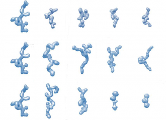 Simulations of D-Rec1 under macromolecular crowding condition