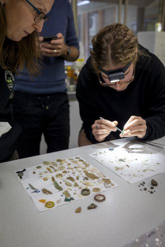 Cleaning and counting ingested plastic particles
