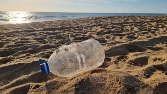 Beverage bottles were the most prevalent washed up item in Hobart, Tasmania.