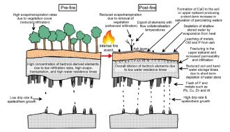 Impacts of extreme fire on the formation of stalagmites