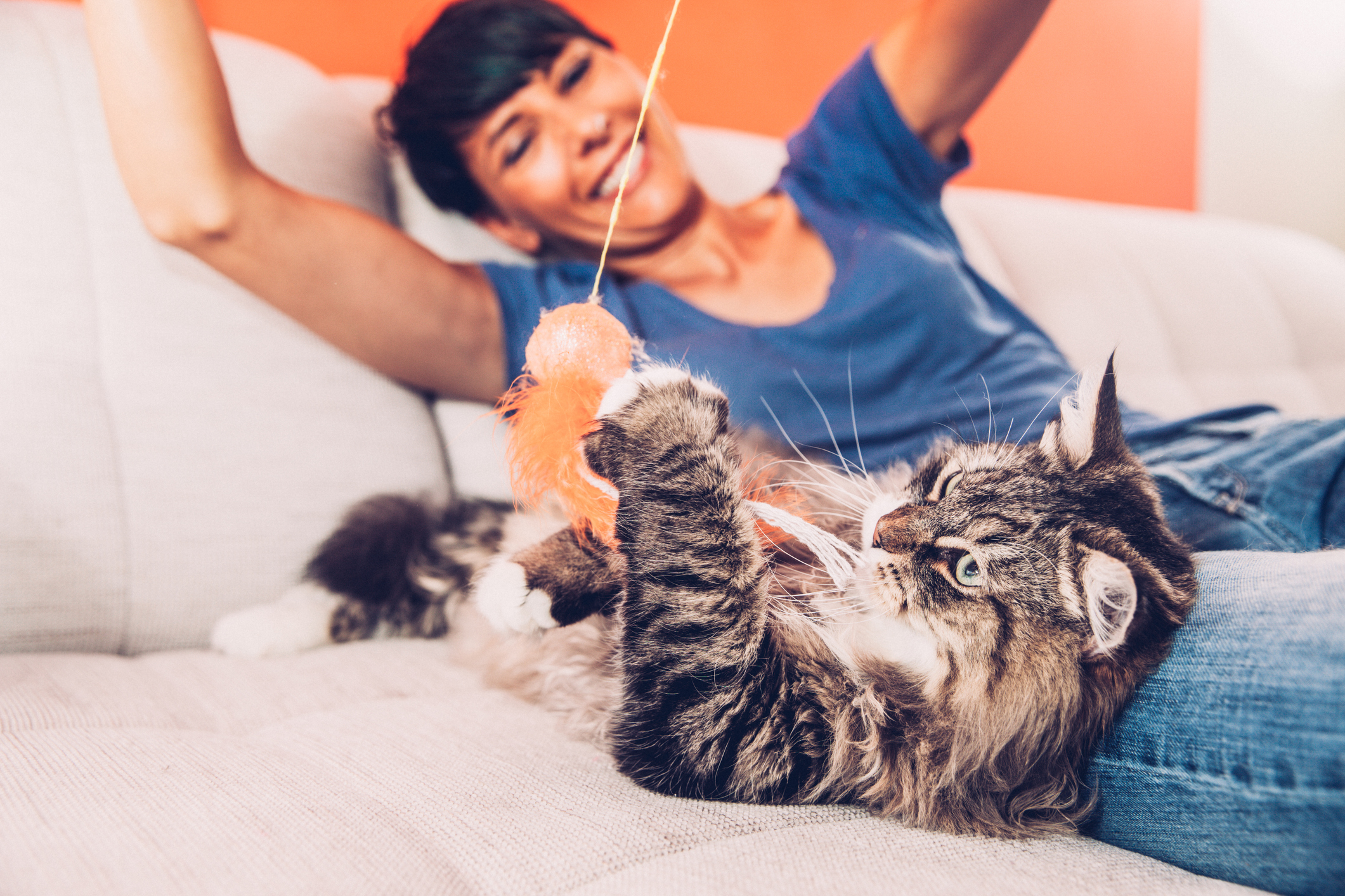 iStock.