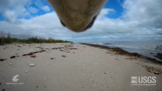 Image 8