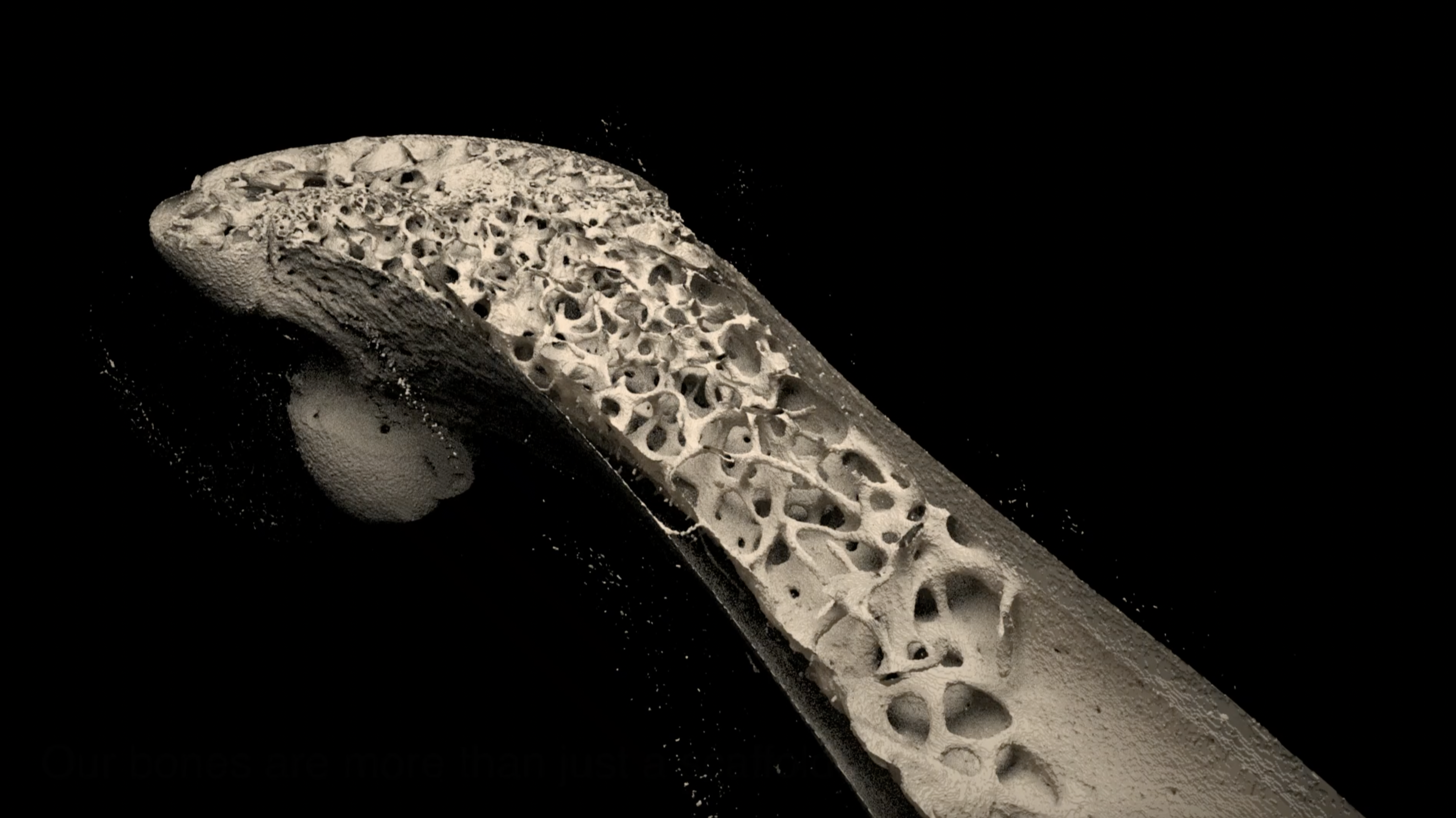 Kate Patterson / Garvan Institute