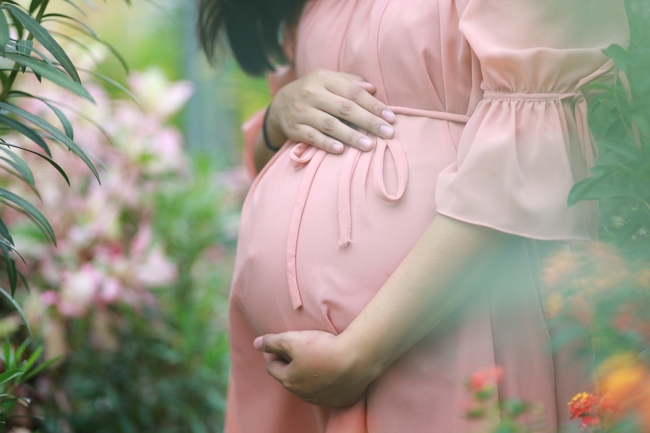 CC-0. https://pixabay.com/photos/pregnant-woman-belly-mother-parent-6178270/