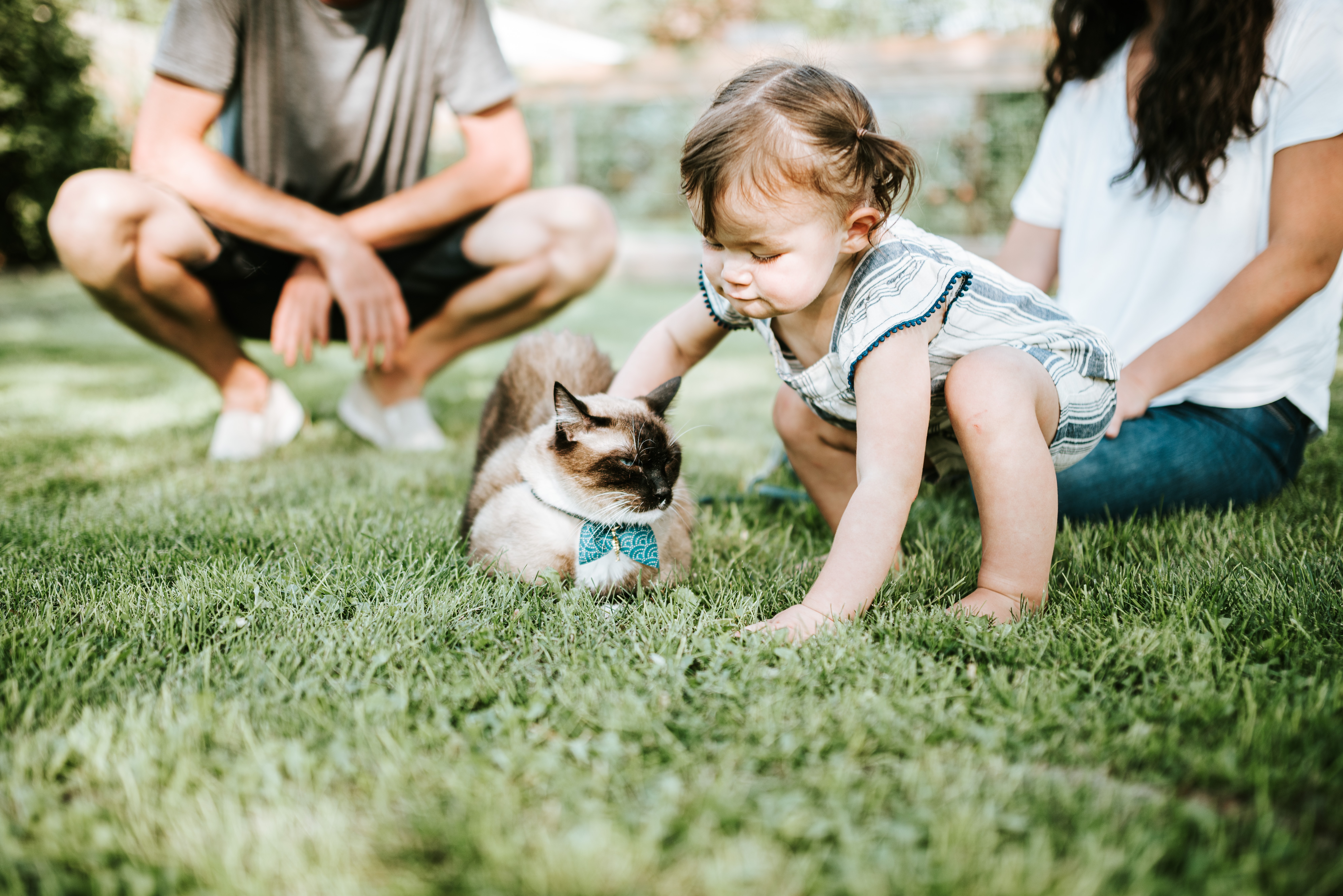 Image by Chewy on UnSplash
