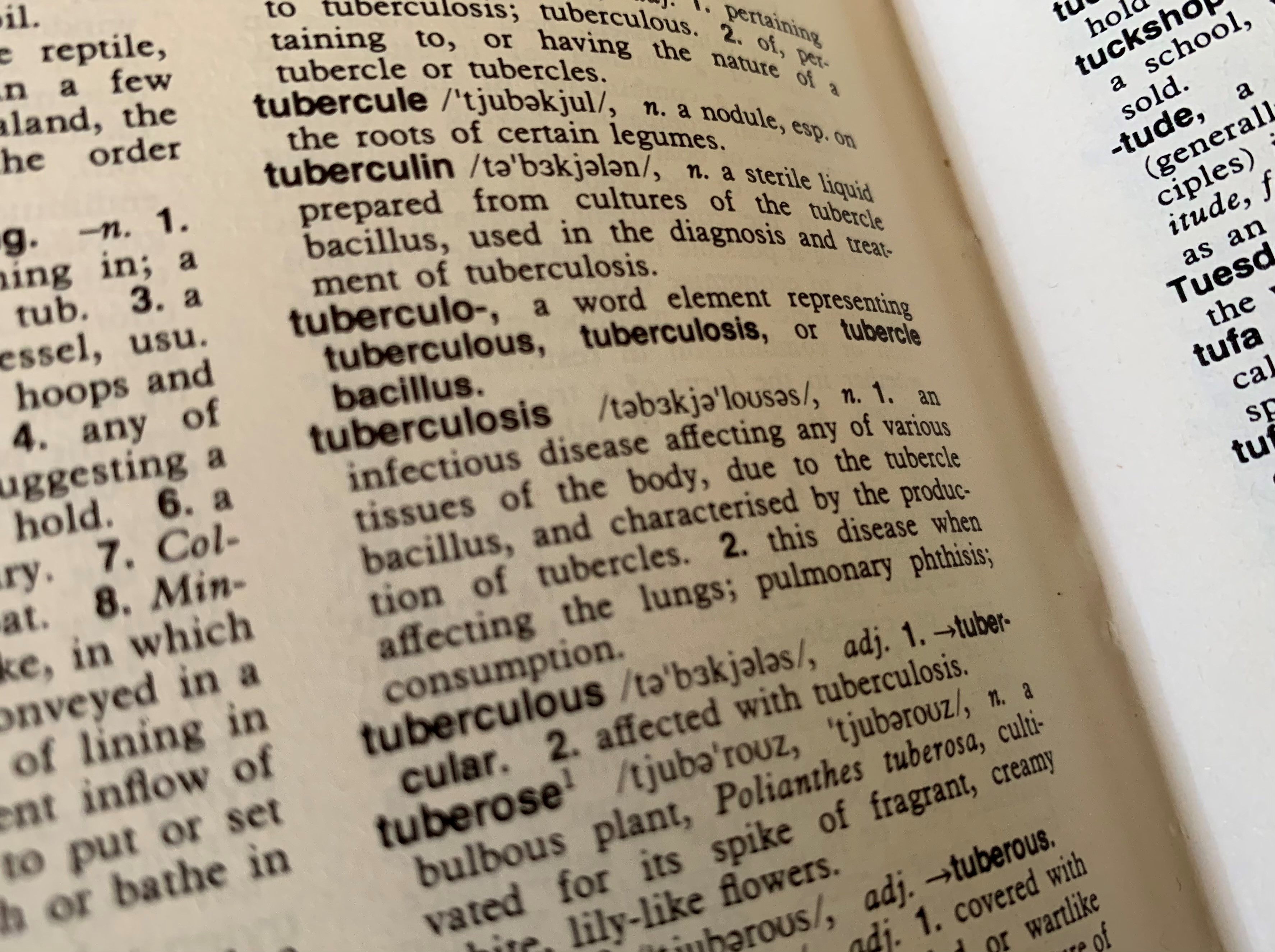 Image: Telethon Kids Institute