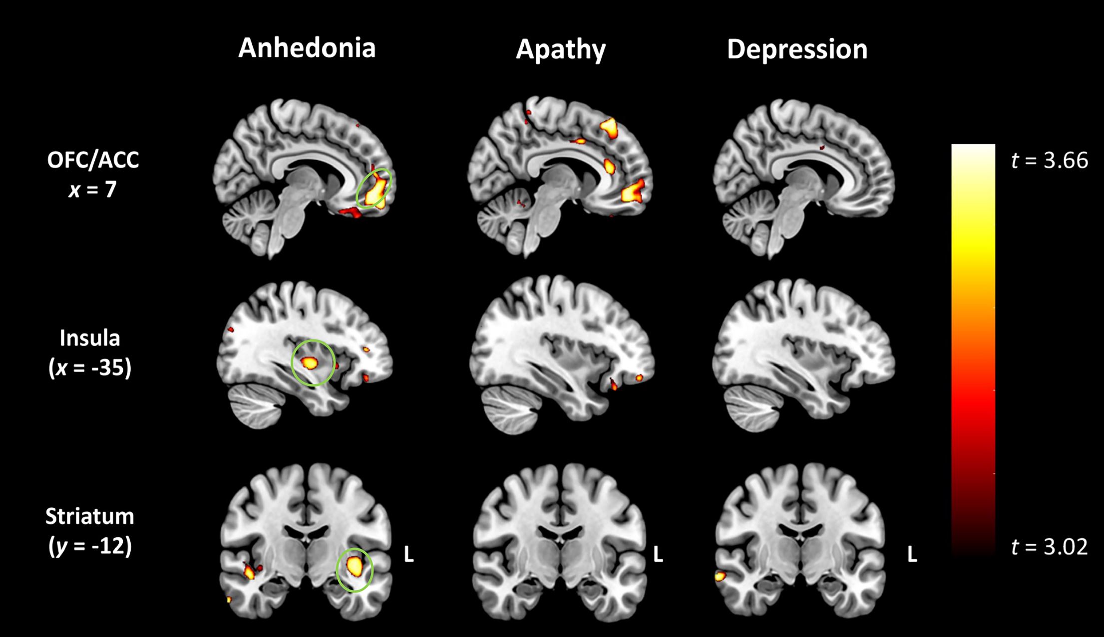 Credit: University of Sydney 