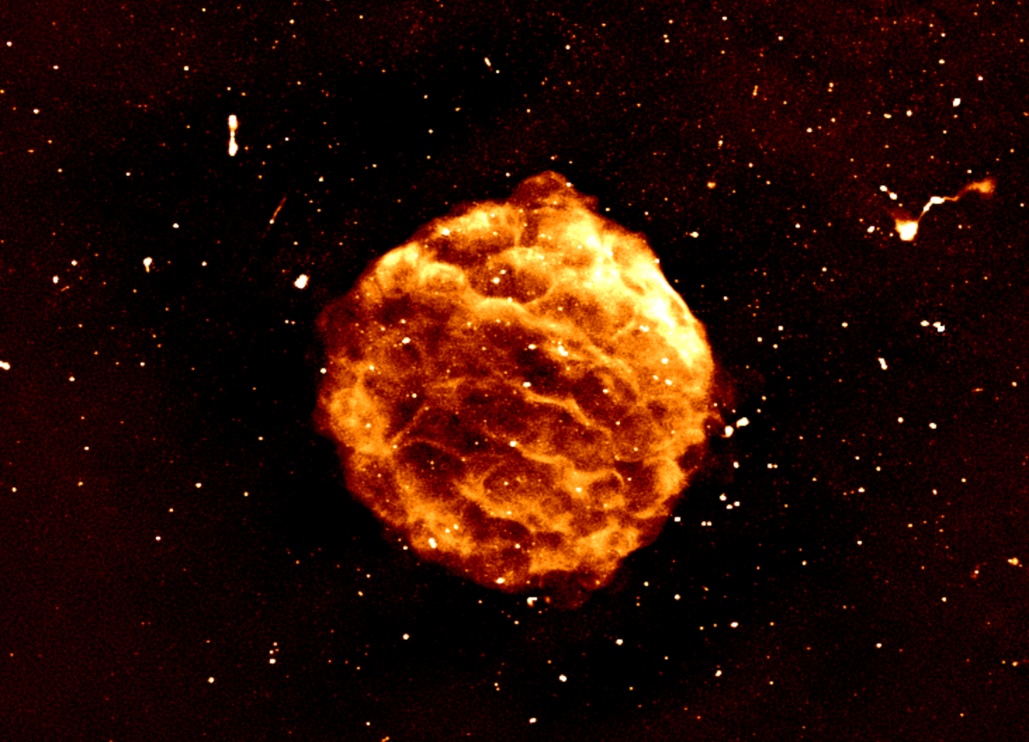 A supernova remnant is the remaining shockwave from the explosion of a dying star. Captured by our ASKAP radio telescope and processed by the Setonix supercomputer, this shockwave is visible to radio telescopes, and is mostly invisible to others. It is thought that this remnant is about 100 light years wide and could have exploded in the Neolithic era.  All the dots in the background are distant galaxies. Credit: Dr Wasim Raja/CSIRO, Dr Pascal Elah/Pawsey