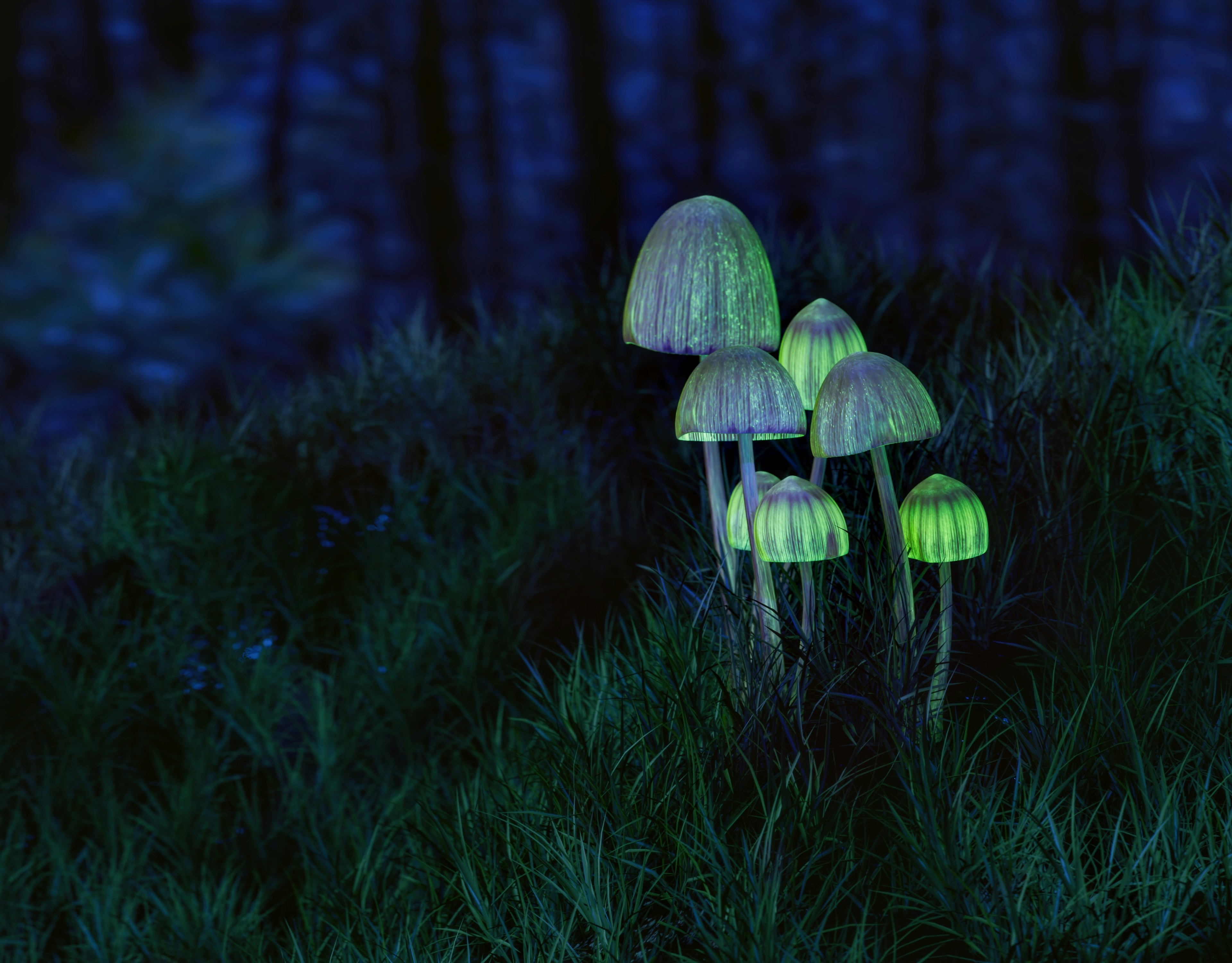 Photo by Igor Omilaev on Unsplash Photo by Igor Omilaev on Unsplash