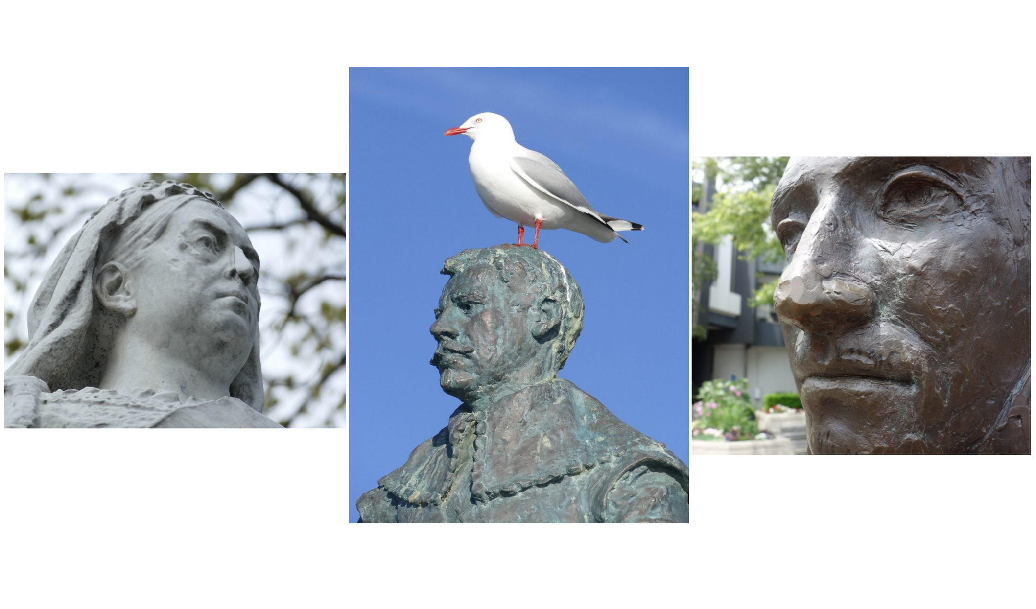 Images from the paper