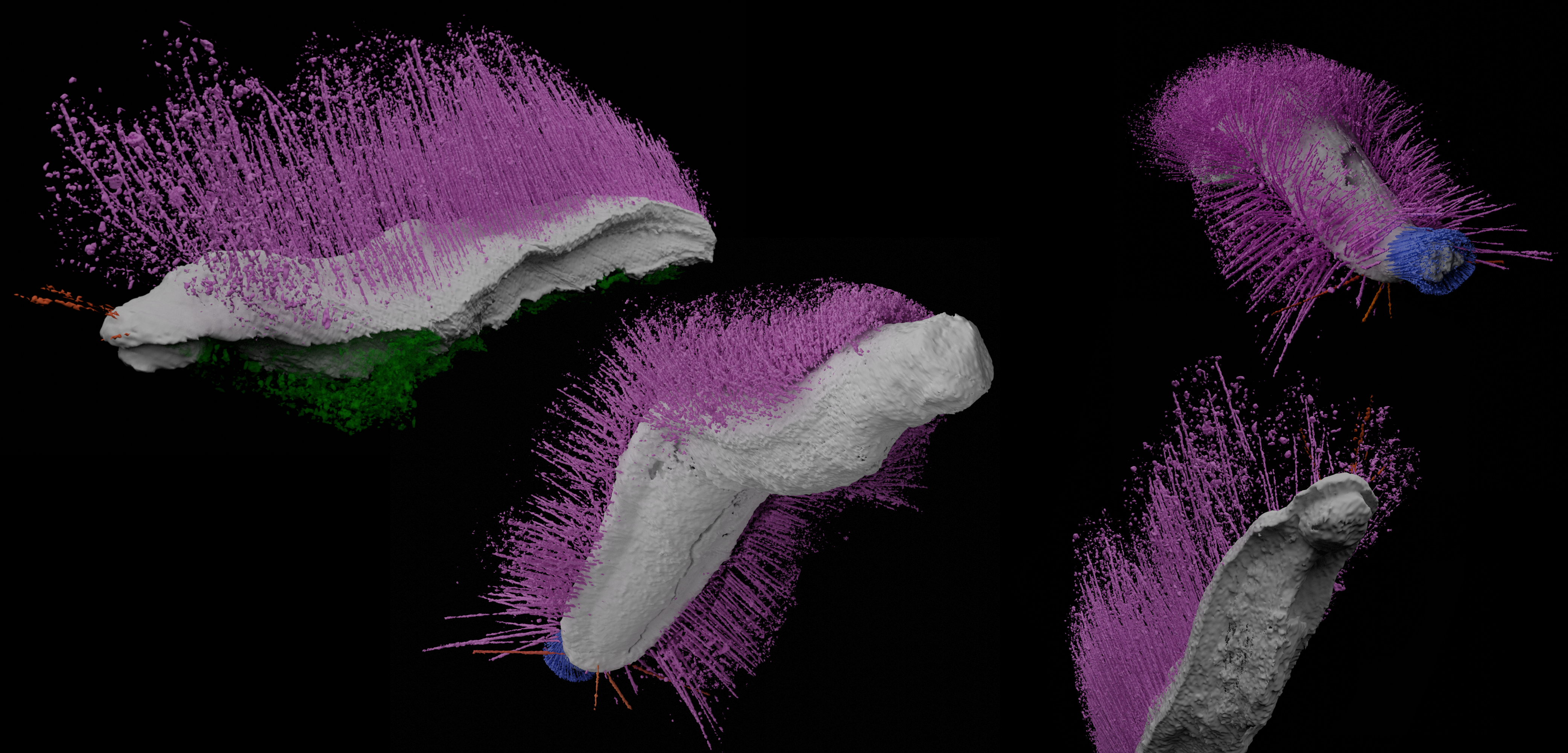 Sutton et al. Nature