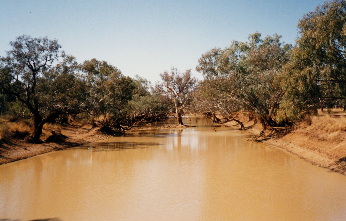 Paroo River at Eulo, Paroo Shire. Credit: John Robert McPherson/WikiCommons