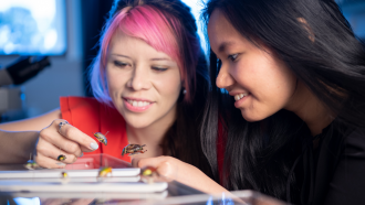 TMOS researchers in lab
