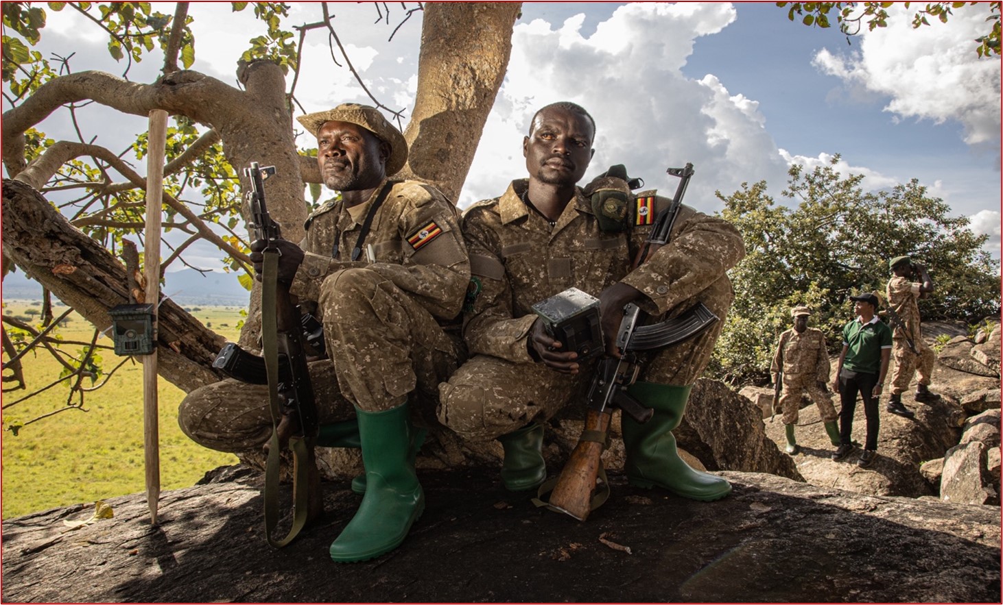 Rangers from the Uganda Wildlife Authority monitor lion populations in Uganda’s Nile Delta. Credit: Alexander Braczkowski