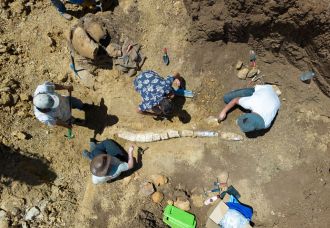 Extracting the plesiosaur