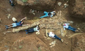 New Plesiosaur Find - Queensland Museum
