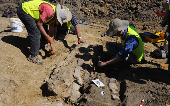 Swinburne researcher assisting volunteers in the excavation of the ribs of a sauropod dinosaur, the Austrosaurus mckillopi, in 2015.