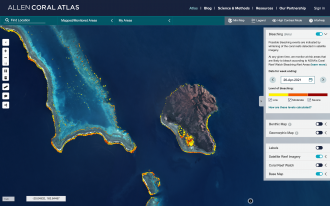 Monitoring system interface