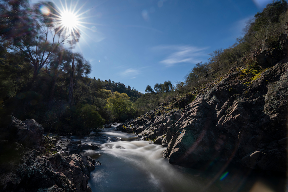 Condor Creek in the Uriarra Forest, ACT. Photo: Lannon Harley/ANU.