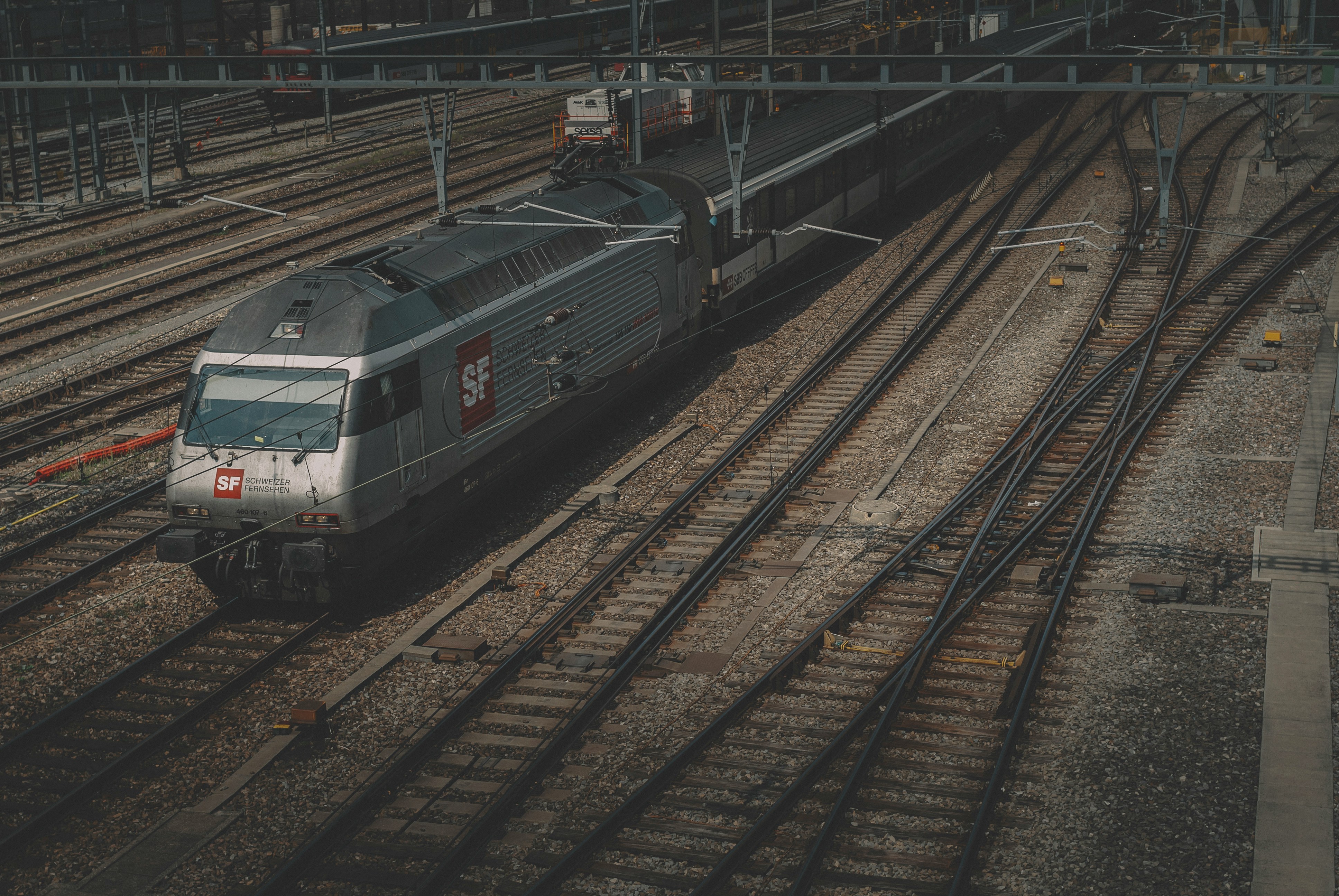 Photo by Egor Myznik on Unsplash