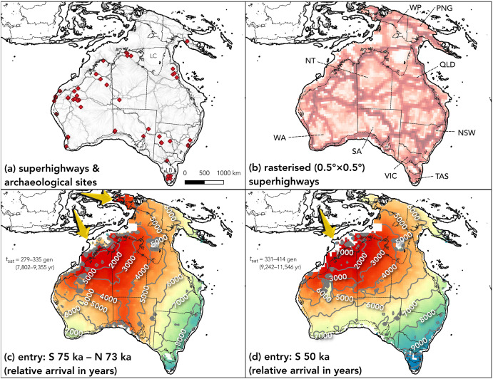 Fig. 2. Main combined model inputs and outputs. (a) Fine-scale (10 km) resolution of the dominant movement corridors (‘superhighways’) derived from Crabtree et al. 
