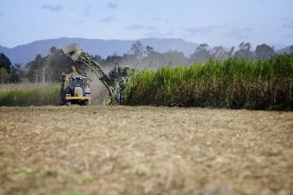 Biotechnology report 