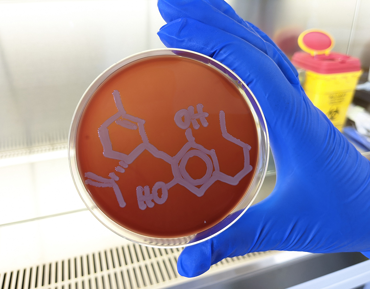 UQ_Institute_for_Molecular_Bioscience_Cannabidiol