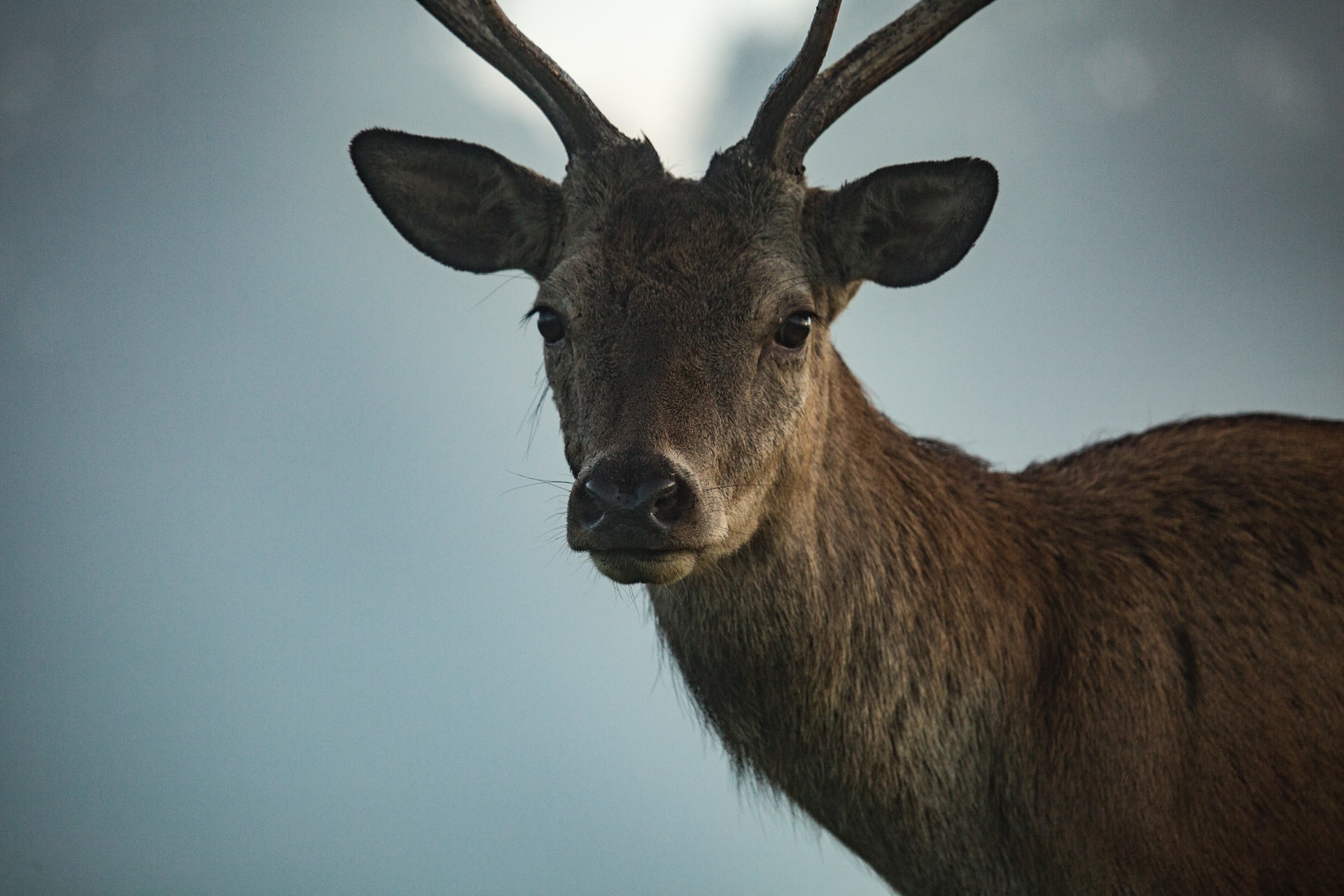 PHOTO: Diana Parkhouse/Unsplash