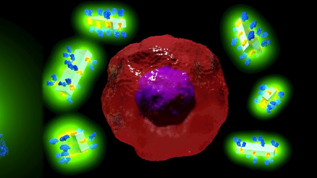 Dr Francesco Carraro and Prof Paolo Falcaro (Co-First and Co-Senior author on the Advanced Materials Paper)