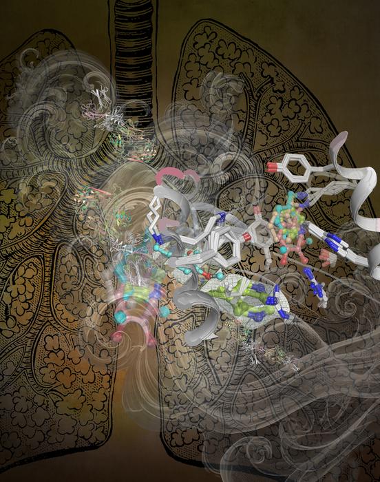 This illustration explores how smoke components in cigarette and e-cigarette smoke obscures critical molecules like Smole-binding ligands and MR1 complexes, disrupting T cell responses.  Credit: Erica Tandori
