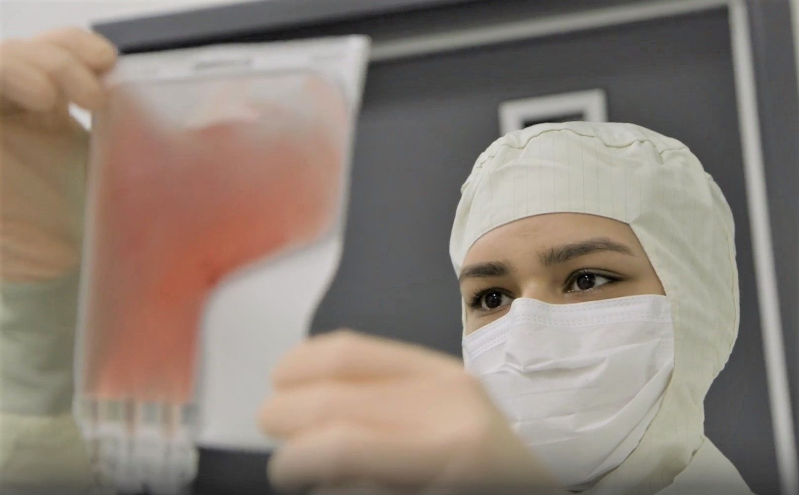 Peter MacCallum Cancer Centre