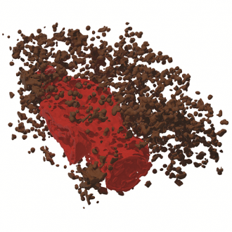 Interesting organelle render