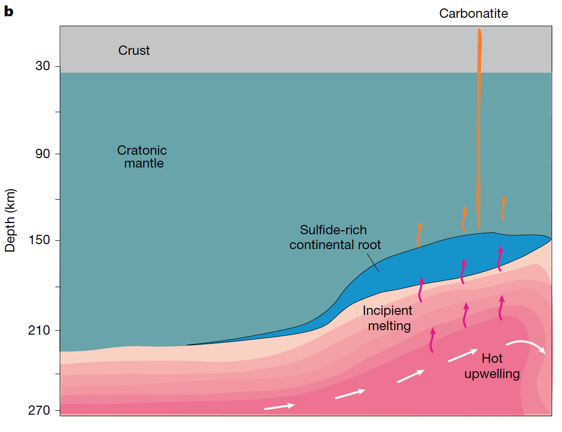 Illustration of melt compositional evolution. Asthenospheric  material and low-degree carbonate-rich melts f low along inverted valleys that  follow the negative topography of the underside of the lithosphere, leading  preferentially towards craton margins at intermediate depths. Sulfur-carrying  capacity decreases as the melt composition evolves from carbonated silicate  to carbonatite, depositing sulfides beneath the craton margins