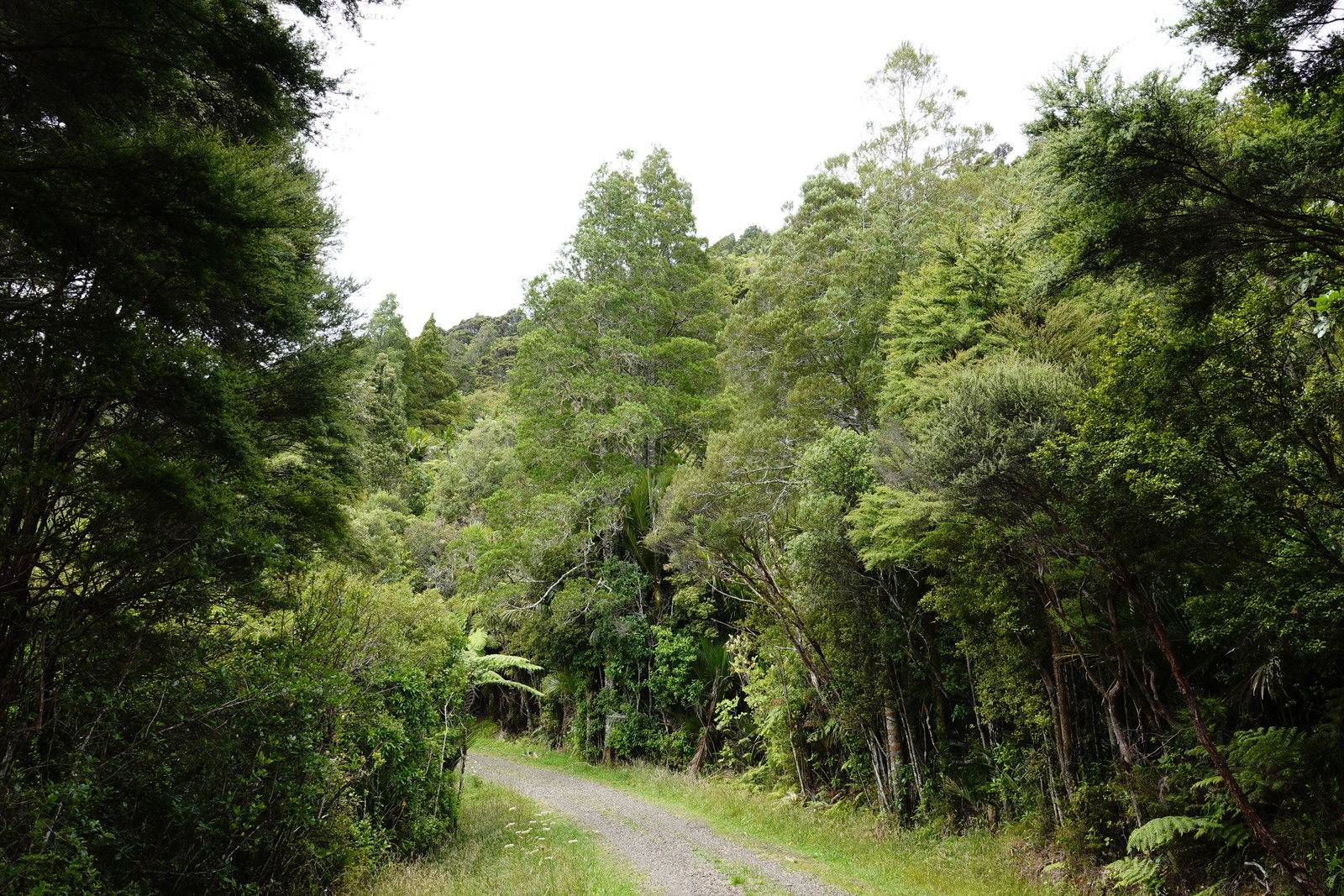 © Jacqui Geux, some rights reserved (CC-BY)