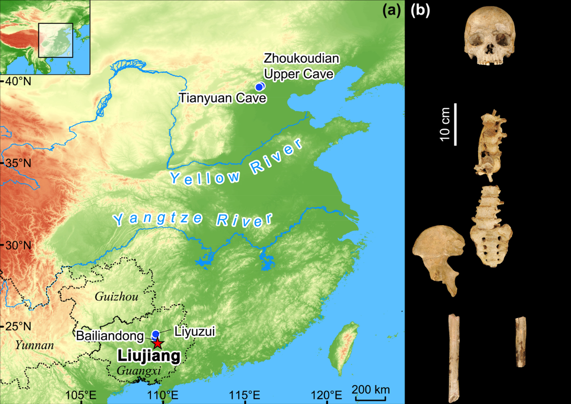 Location of Tongtianyan cave (Liujiang) in Guangxi Province, southern China, together with the location of other key fossils of Homo sapiens in China. Frontal view of the Liujiang cranial and postcranial elements.